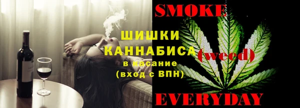 Альфа ПВП Бородино