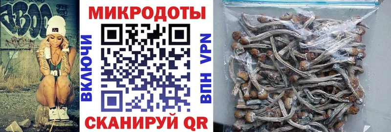Псилоцибиновые грибы мухоморы  сколько стоит  Ставрополь 